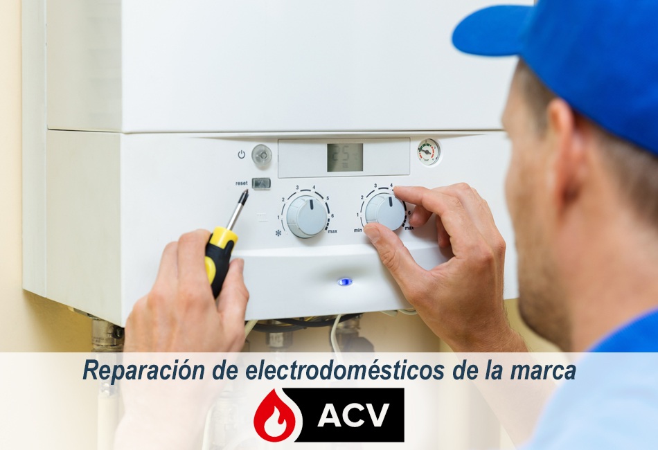 Técnicos de Lleida