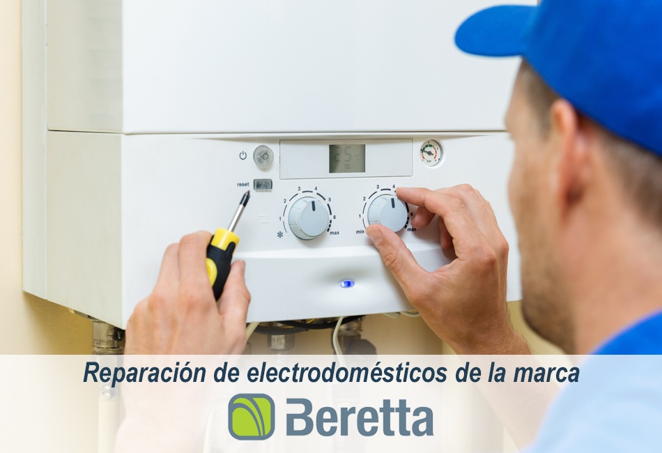 Técnicos de Lleida