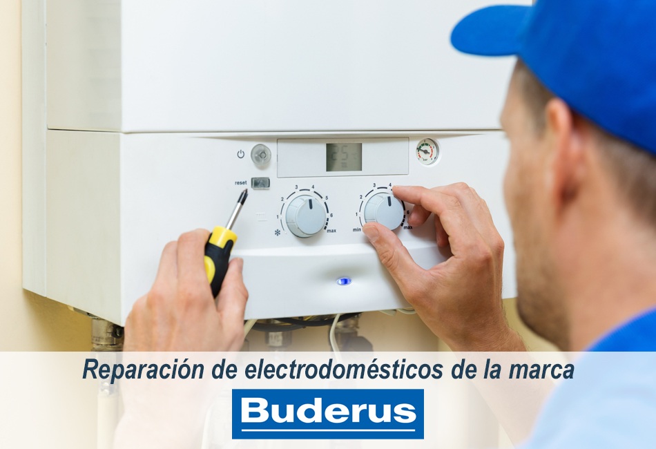 Técnicos de Lleida