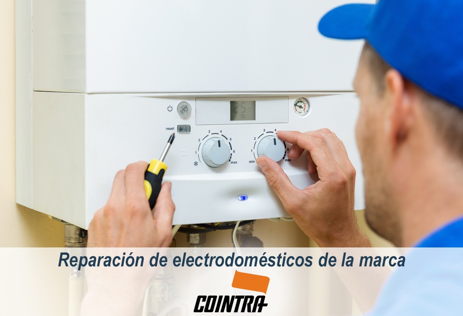 Técnicos de Lleida