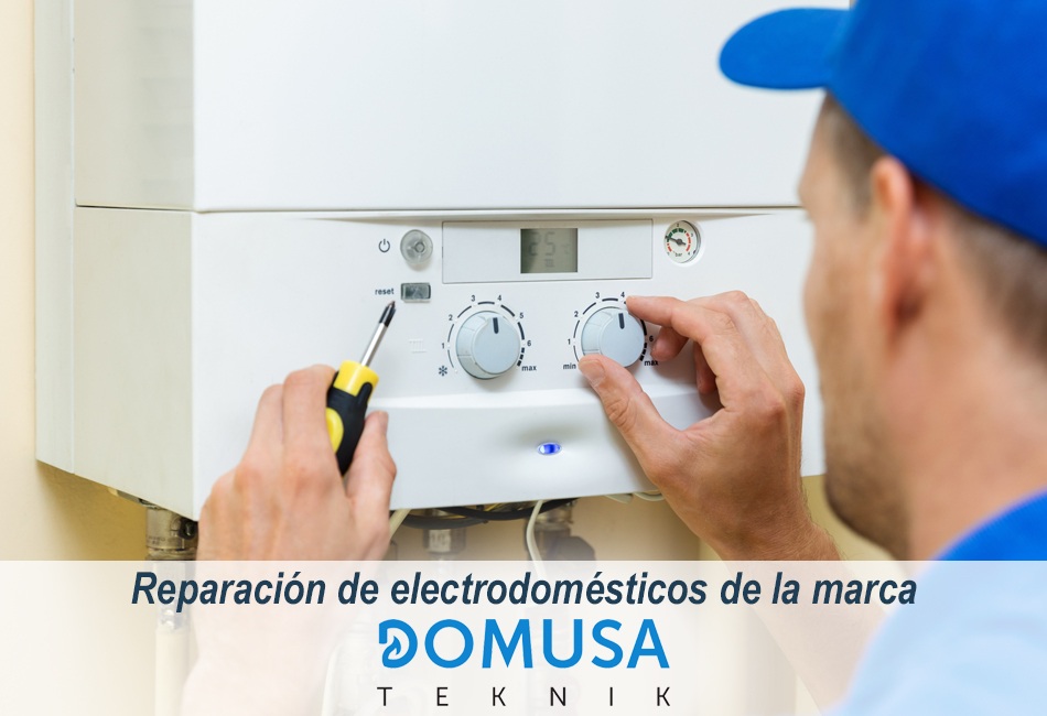 Técnicos de Lleida