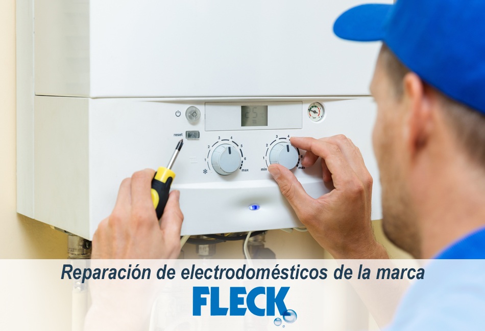 Técnicos de Lleida