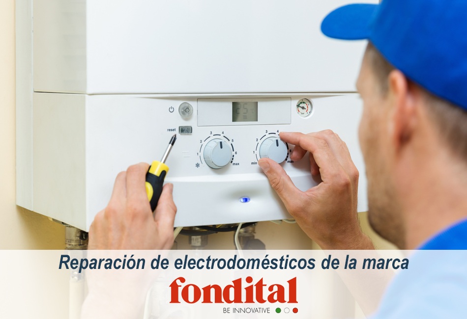 Técnicos de Lleida