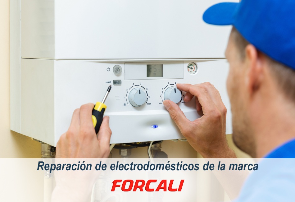 Técnicos de Lleida