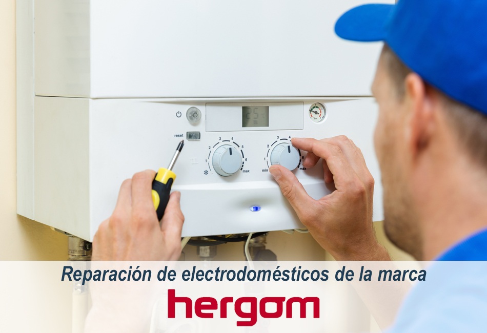 Técnicos de Lleida