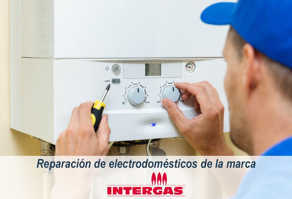 Técnicos de Lleida