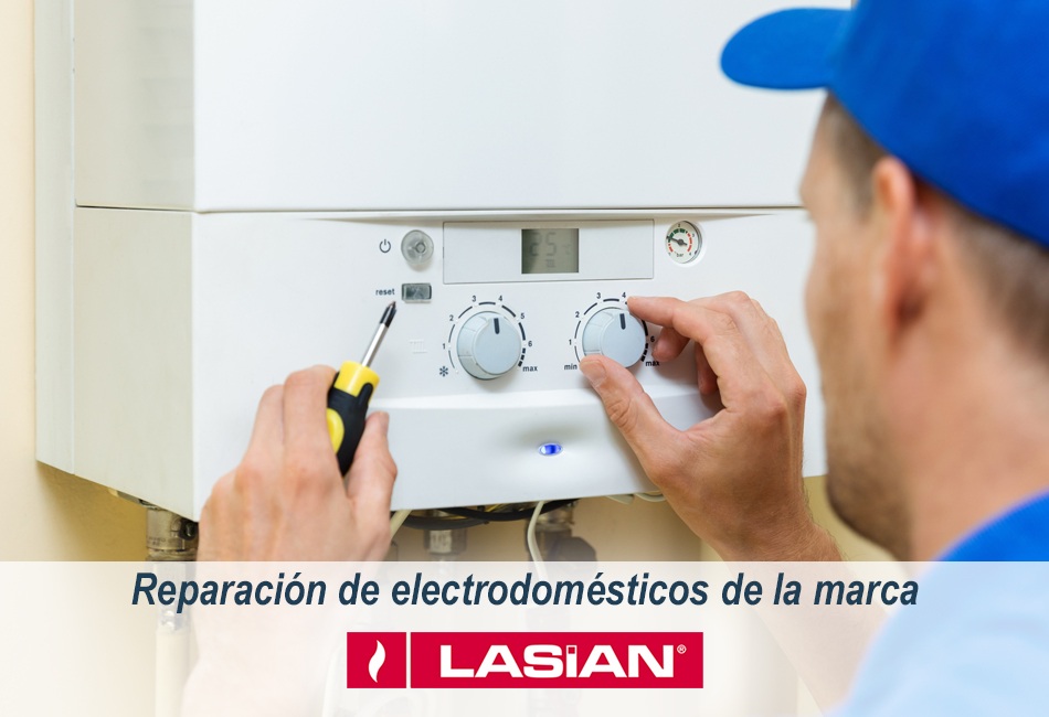 Técnicos de Lleida