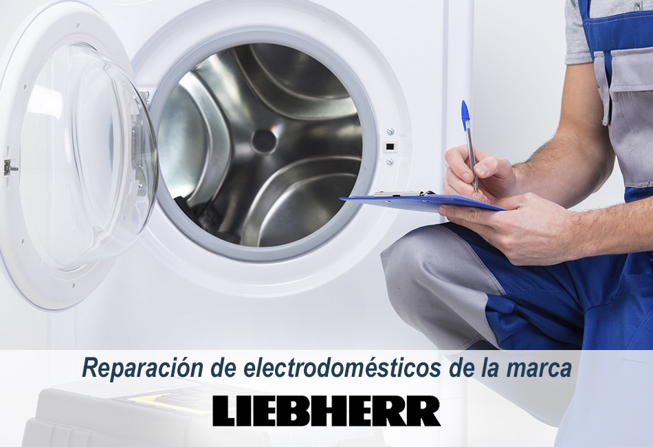 Técnicos de Lleida