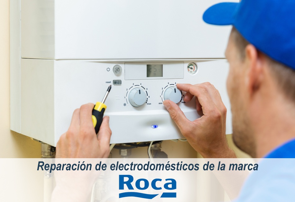 Técnicos de Lleida