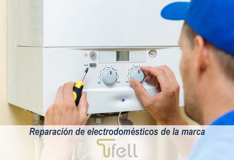 Técnicos de Lleida