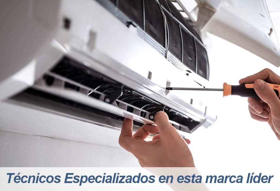 DAITSU Servicio Técnico